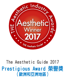 The Aesthetic Guide 2017